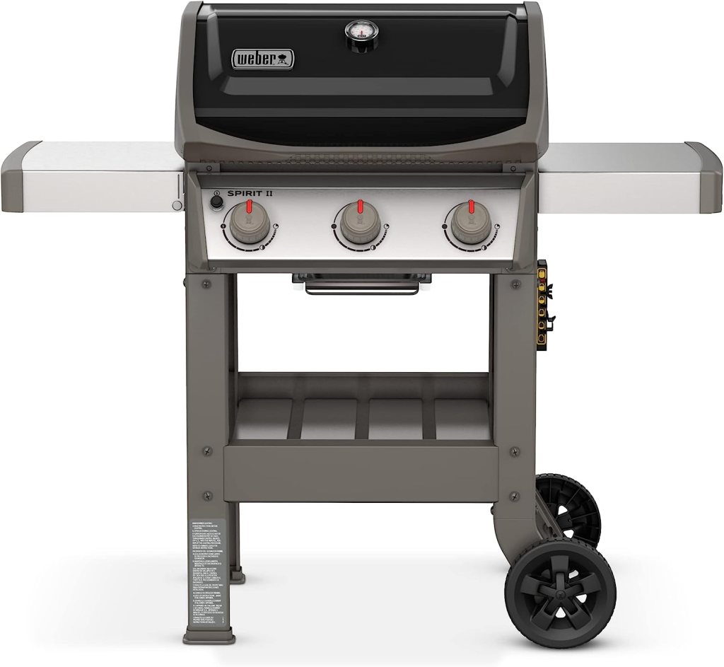 The Best Gas&nbsp;Grills